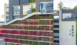 重庆精装房爆料视频大全,爆料视频大全深度解析