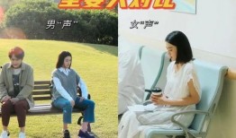 恋恋吃瓜免费阅读,免费阅读，揭开娱乐圈的甜蜜秘密